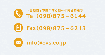 沖縄ビジョンサービスへのお問い合わせはtel（０９８）８７５－６１４４まで